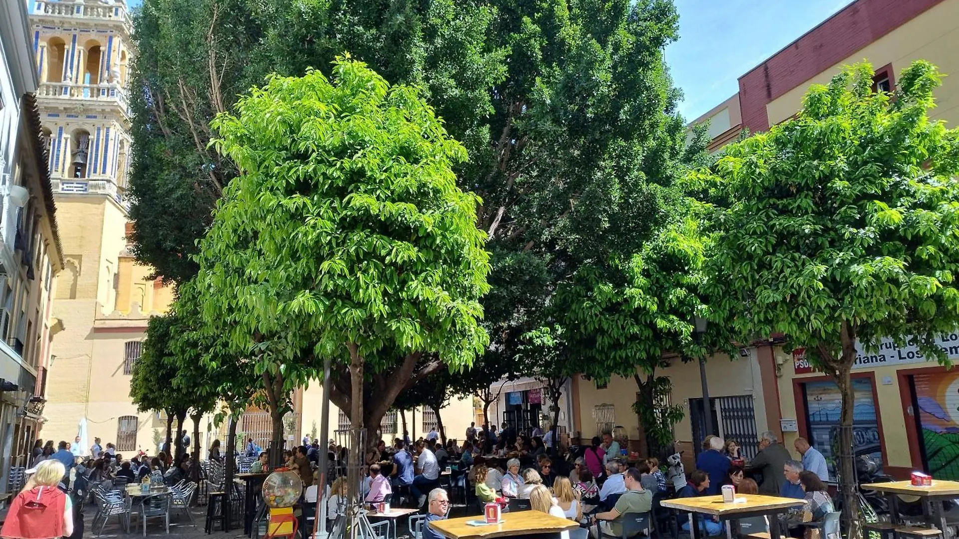 Lägenhet Apartamentos La Plazuela Sevilla